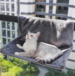 Cat Window Hammock